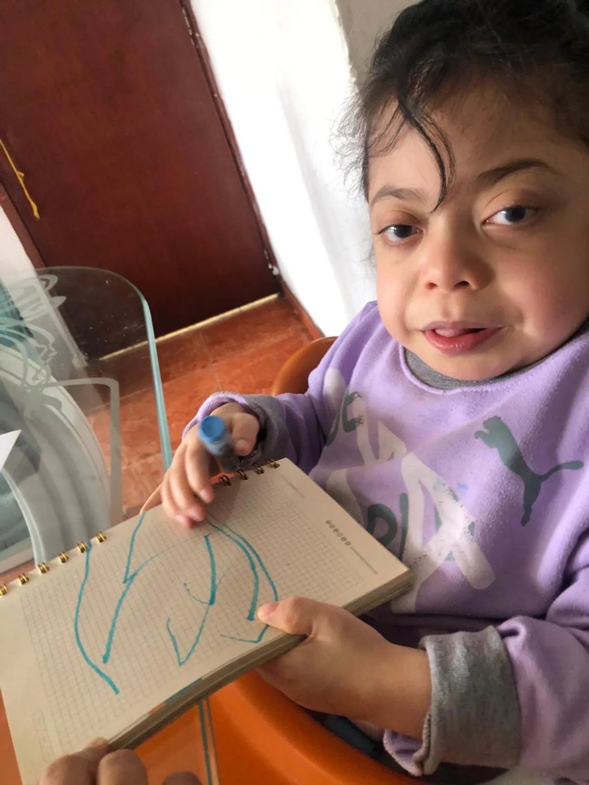 Historia de desarrollo infantil y fortalecimiento integral